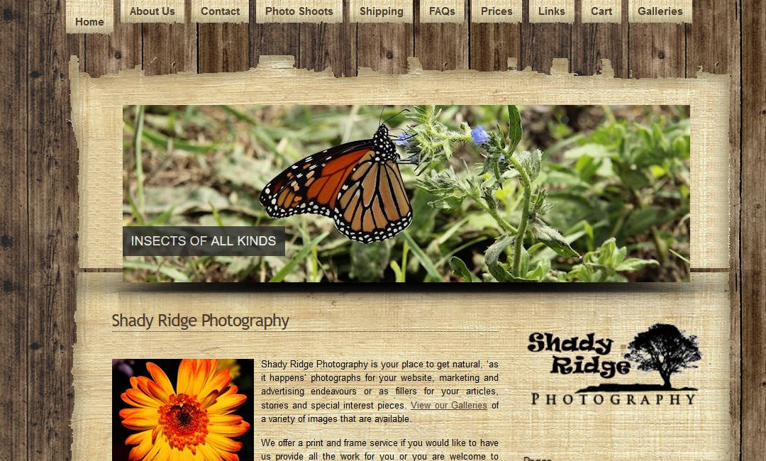 Shady Ridge Photography