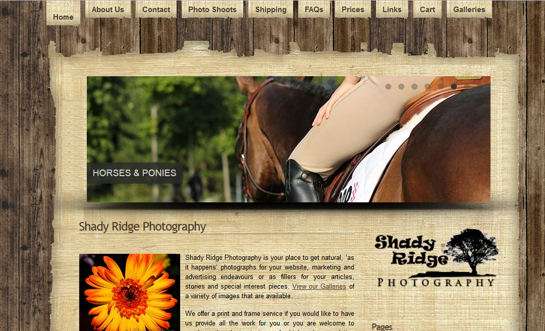 Shady Ridge Photography